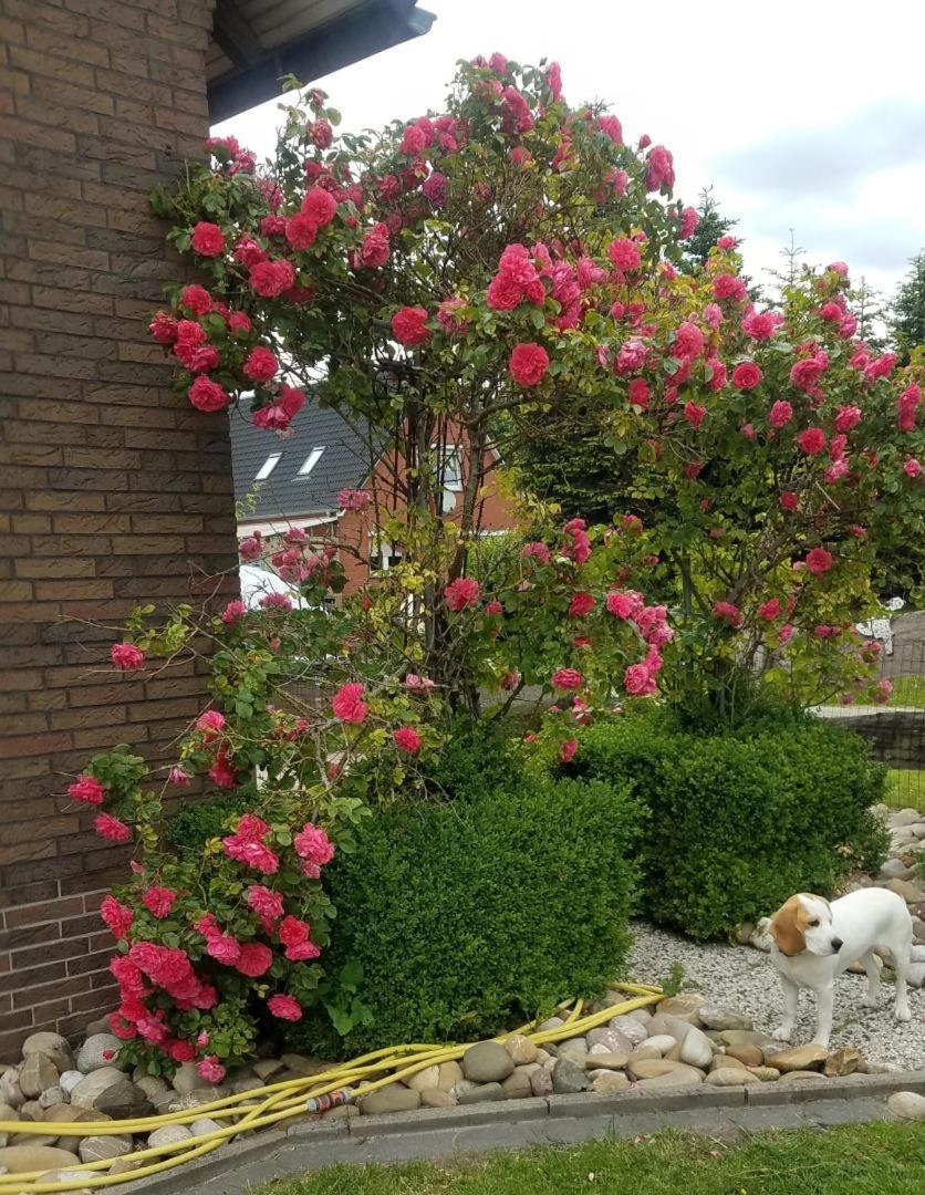 Ferienwohnung Aurich Ostfriesland 外观 照片
